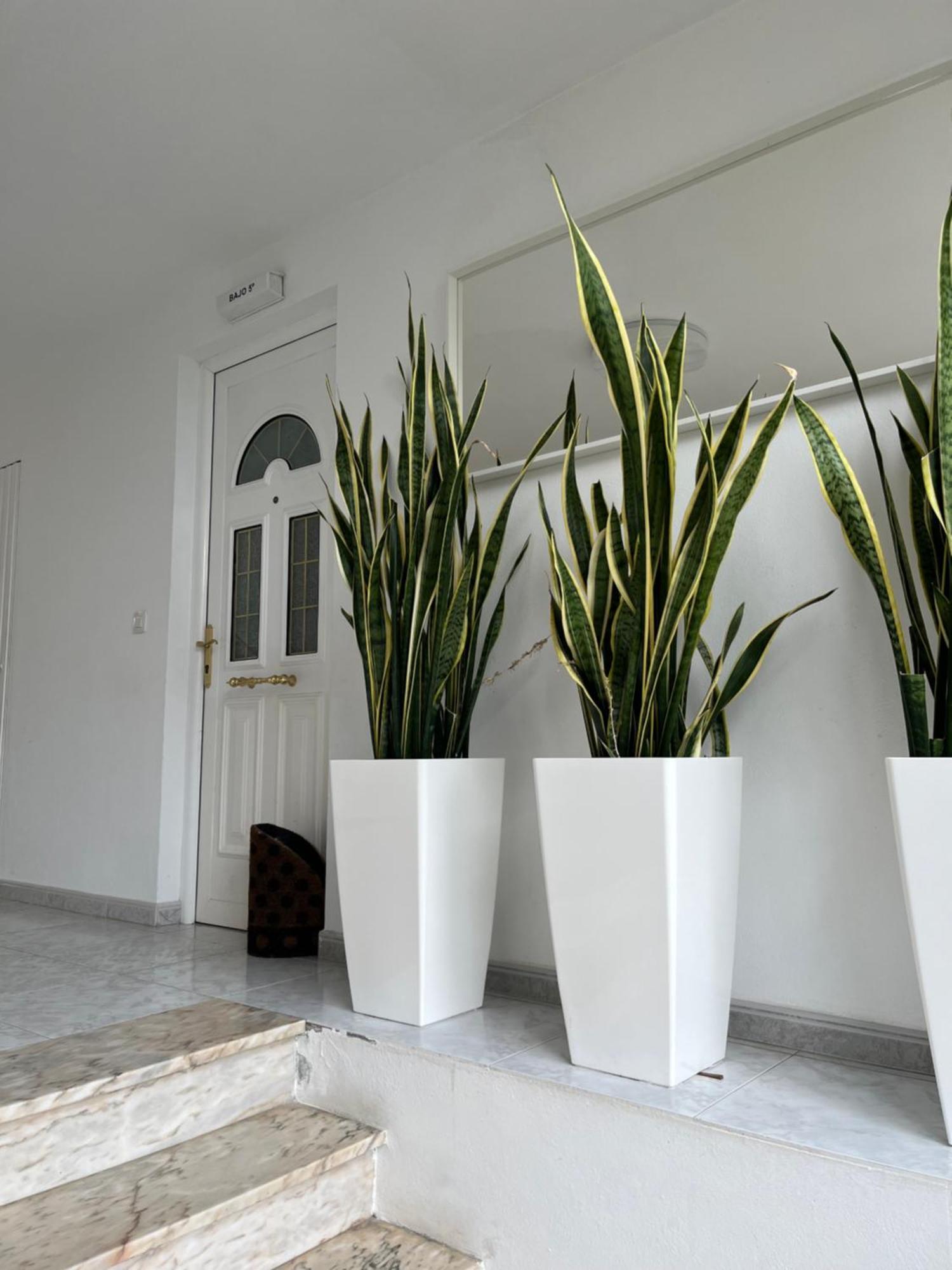 Apartamento En Sardineiro, Finisterre B5 Екстериор снимка